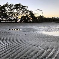 mudflats nudgee beach square
